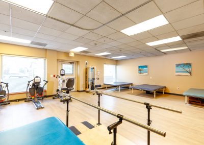 Equipment for Physical Therapy and Mobility